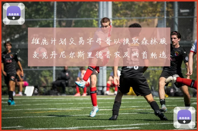 雄鹿计划交易字母哥以换取森林狼麦克丹尼尔斯里德香农及两首轮选秀权